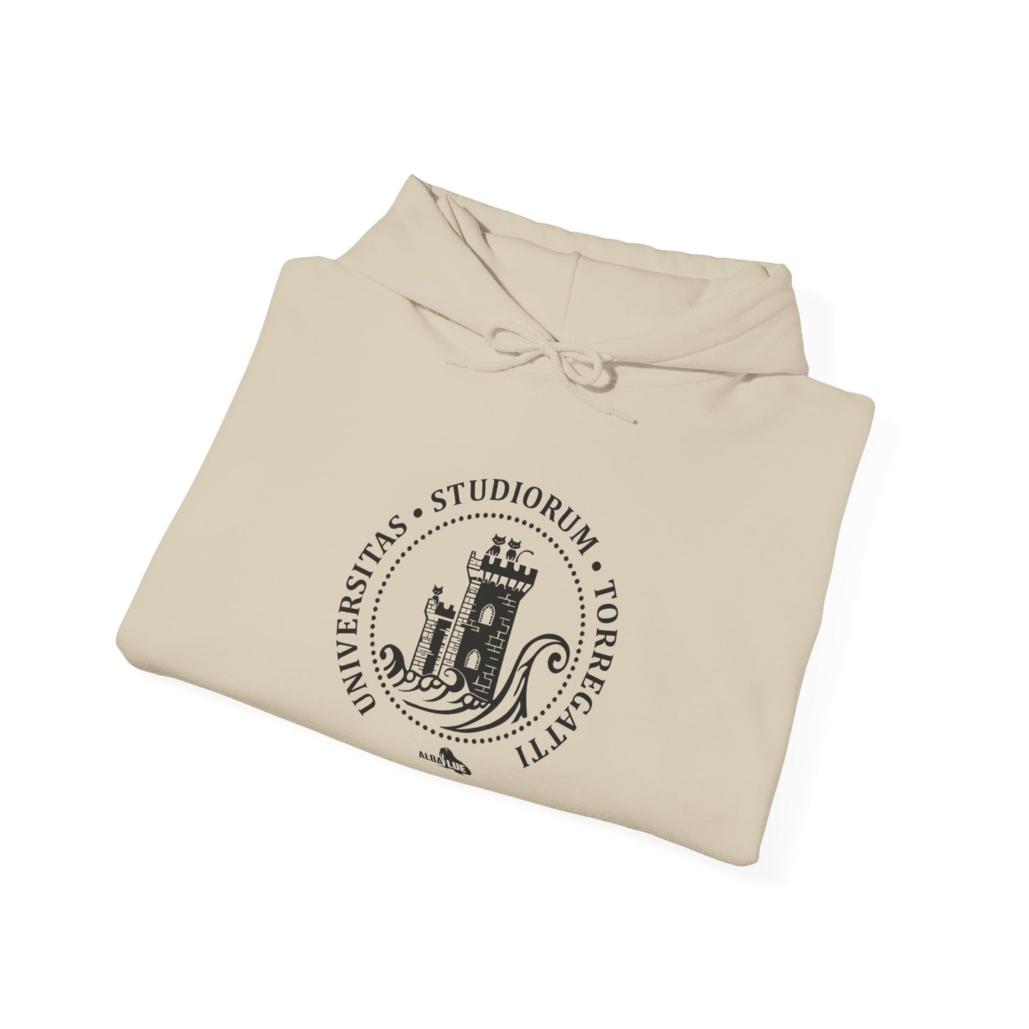 Torregatti University - Hoodie