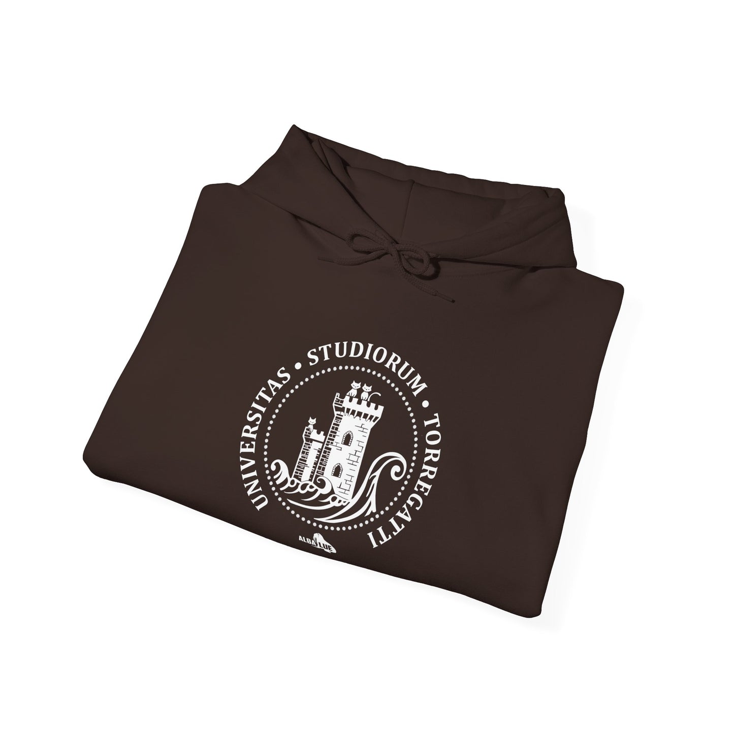 Torregatti University - Hoodie