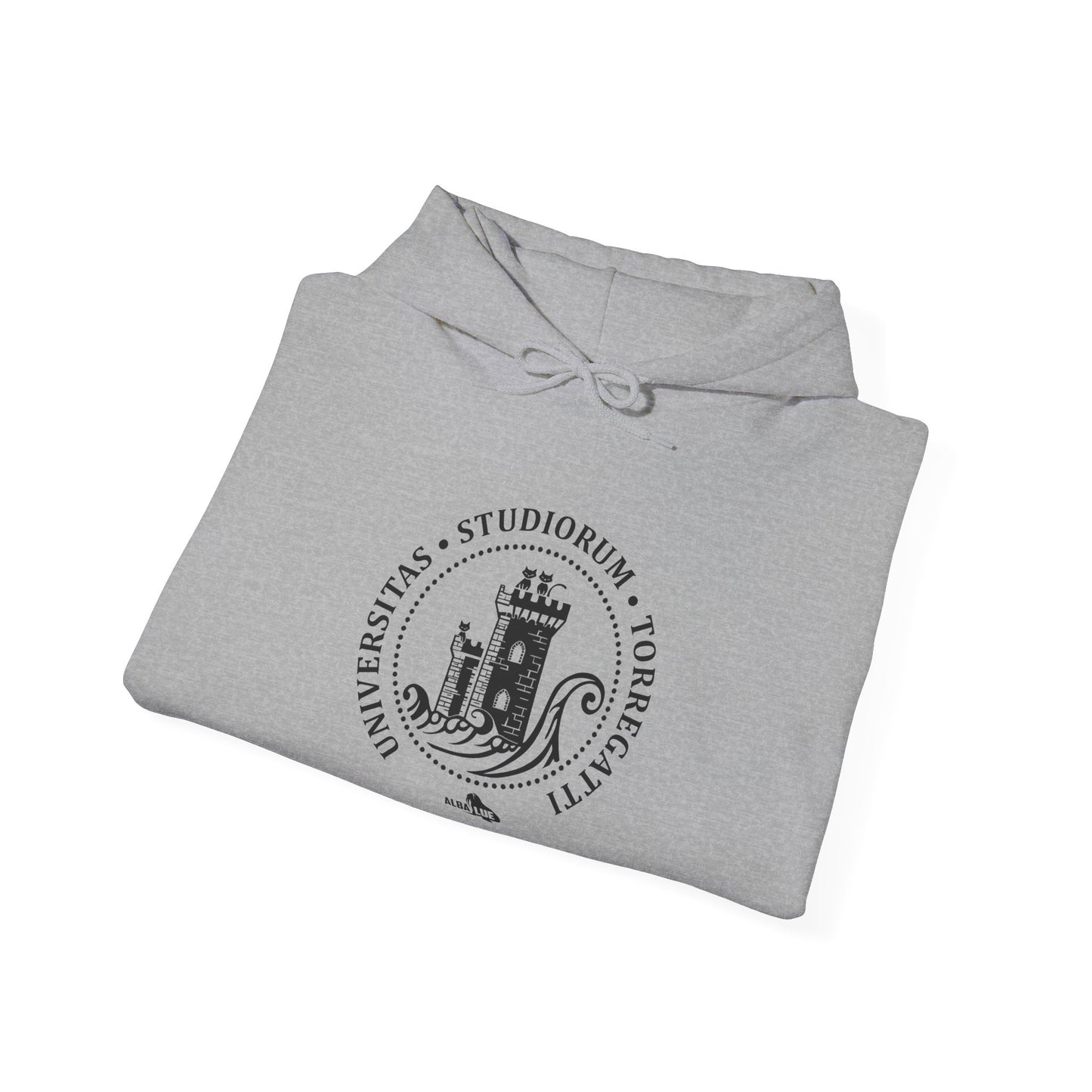 Torregatti University - Hoodie